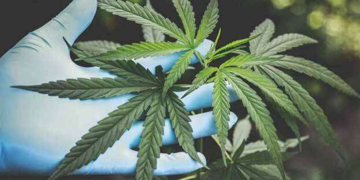 Rolling Hills Hemp™ Smart Choice, Great Results – Choose Rolling Hills Hemp! ??