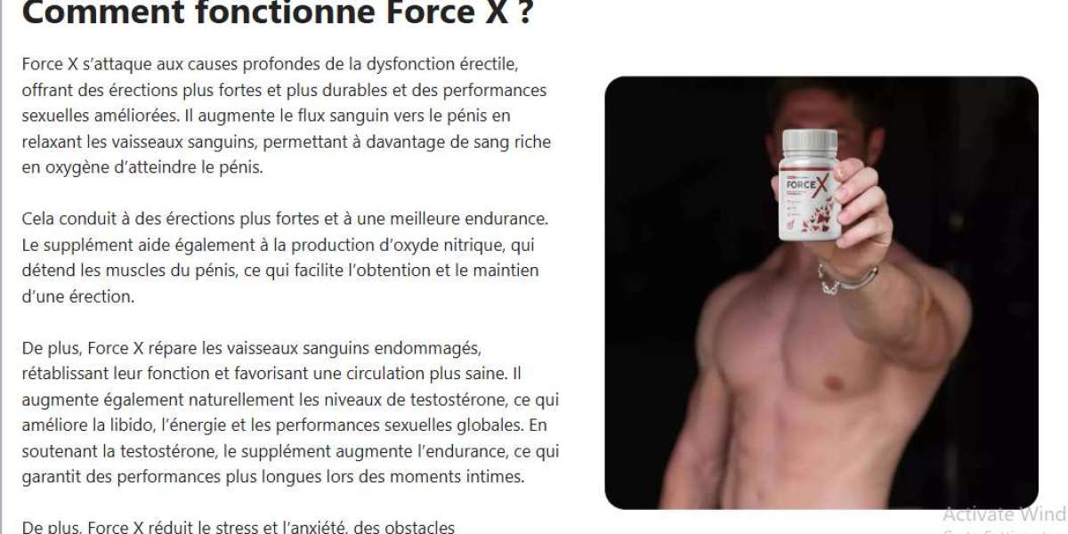 Force X – Quand puissance et performance se rencontrent