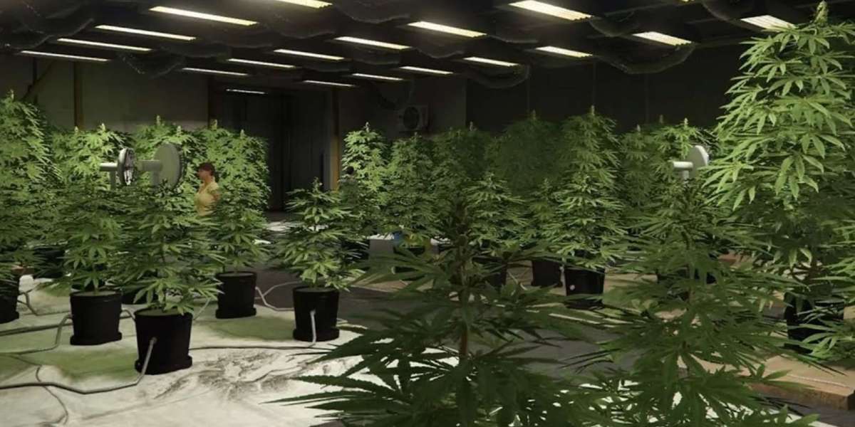 GTA Online Update: Only Organic Produce Gets Faster Production